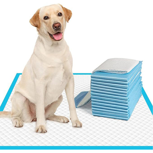 Dog And Puppy Pee Pads | 60cm x 60cm | Leak-Proof, Quick-Dry Design Indoor Training | Heavy Duty Absorbency