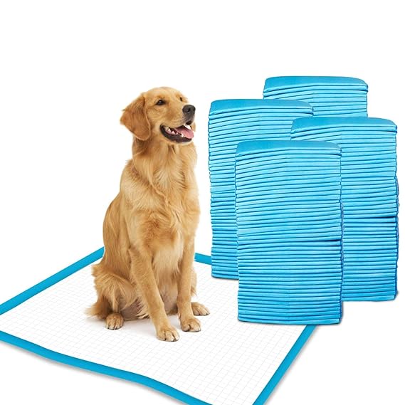 Quittance Dog Training Pad 60cm x 90cm - 50 gram | Leakproof Ultra Absorbent Floor Protection