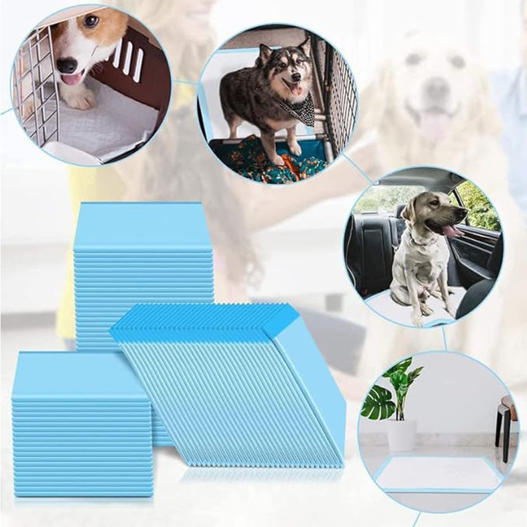 Pet Training Pads For Puppies & Pets, Super Absorbent Urine Mats | 100% Water Proof & Non Slippery- 60X45CM ( Medium )