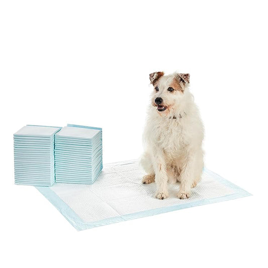 Pet Training Pads 60 X 45 cm with Leak-Proof Quick-Dry Design, 5 Layered Leak Proof, Potty & Peeing Toilet Trainer, Non Slippery