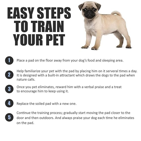 Pet Training Pads For Puppies & Pets, Super Absorbent Urine Mats | 100% Water Proof & Non Slippery- 60X45CM ( Medium )