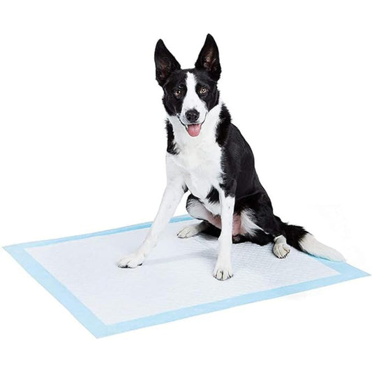 Pet Training Pads 60 X 90 cm Extra Large with Leak-Proof Quick-Dry Design, 5 Layered Leak Proof, Potty & Peeing Toilet Trainer, Non Slippery