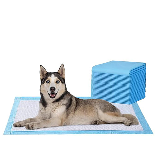 Pet Training Pads For Puppies & Pets, Super Absorbent Urine Mats | 100% Water Proof & Non Slippery- 60X45CM ( Medium )