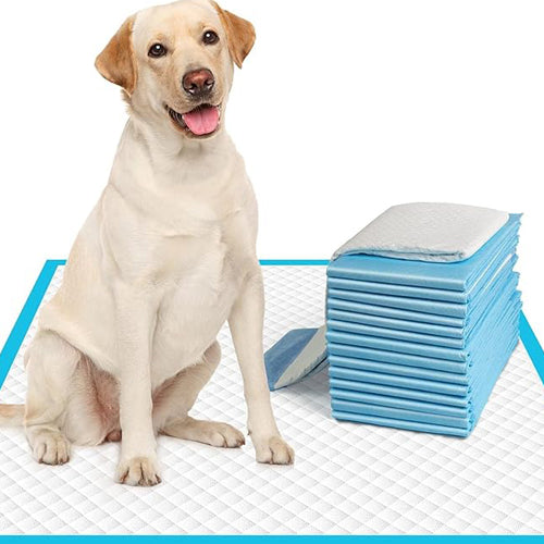 Quittance Dog Training Pad 60cm x 90cm - 50 gram | Leakproof Ultra Absorbent Floor Protection